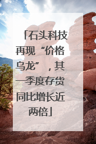 石头科技再现“价格乌龙”，其一季度存货同比增长近两倍