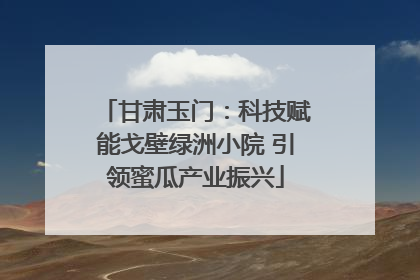 甘肃玉门：科技赋能戈壁绿洲小院 引领蜜瓜产业振兴