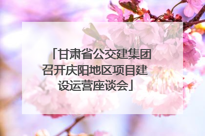 甘肃省公交建集团召开庆阳地区项目建设运营座谈会