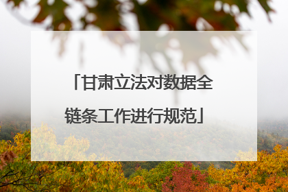 甘肃立法对数据全链条工作进行规范
