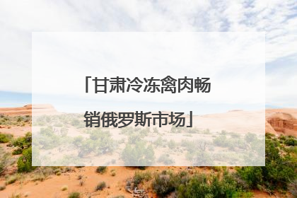 甘肃冷冻禽肉畅销俄罗斯市场