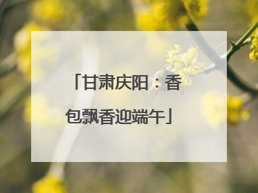 甘肃庆阳：香包飘香迎端午