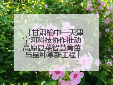 甘肃榆中—天津宁河科技协作推动高原夏菜智慧育苗与品种革新工程