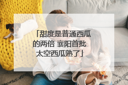 甜度是普通西瓜的两倍 襄阳首批太空西瓜熟了