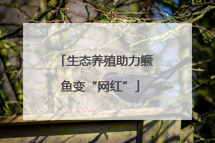 生态养殖助力鳜鱼变“网红”