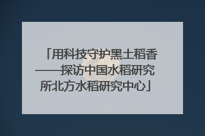 用科技守护黑土稻香——探访中国水稻研究所北方水稻研究中心
