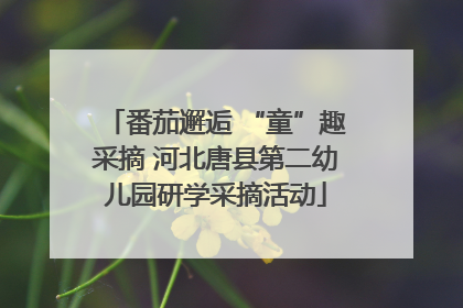 番茄邂逅 “童”趣采摘 河北唐县第二幼儿园研学采摘活动