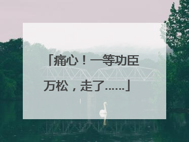痛心！一等功臣万松，走了……