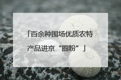 百余种围场优质农特产品进京“圈粉”