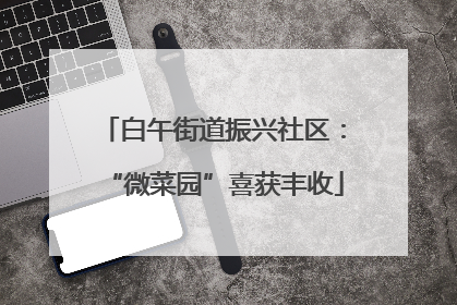 白午街道振兴社区：“微菜园”喜获丰收