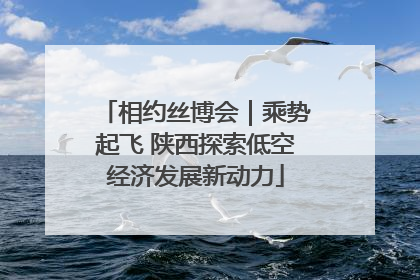 相约丝博会｜乘势起飞 陕西探索低空经济发展新动力