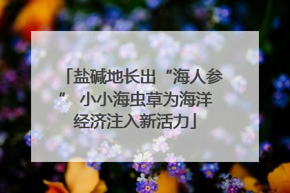 盐碱地长出“海人参” 小小海虫草为海洋经济注入新活力