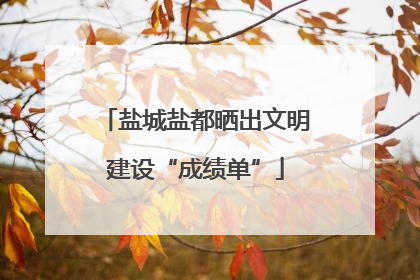 盐城盐都晒出文明建设“成绩单”
