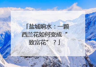 盐城响水：一颗西兰花如何变成“致富花”？
