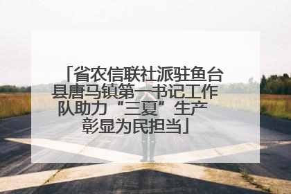 省农信联社派驻鱼台县唐马镇第一书记工作队助力“三夏”生产 彰显为民担当