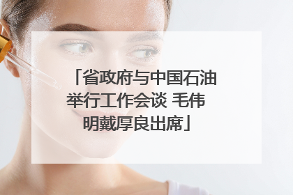 省政府与中国石油举行工作会谈 毛伟明戴厚良出席