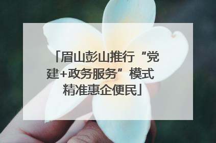 眉山彭山推行“党建+政务服务”模式 精准惠企便民
