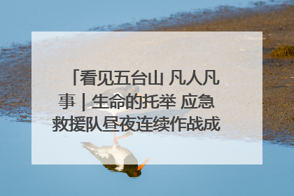看见五台山 凡人凡事｜生命的托举 应急救援队昼夜连续作战成功救出两批被困游客