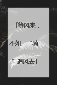 等风来，不如一“骑”追风去