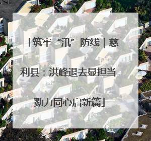 筑牢“汛”防线｜慈利县：洪峰退去显担当 勠力同心启新篇