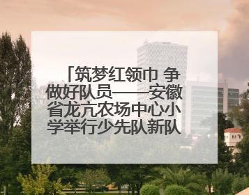 筑梦红领巾 争做好队员——安徽省龙亢农场中心小学举行少先队新队员入队仪式