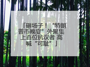 砸场子！“特朗普币晚宴”外聚集上百位抗议者 高喊“可耻”