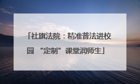 社旗法院：精准普法进校园 “定制”课堂润师生
