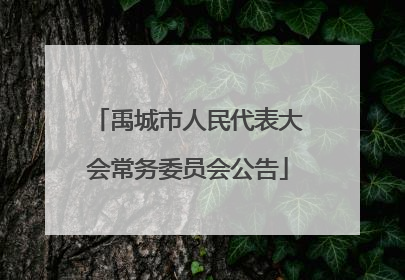 禹城市人民代表大会常务委员会公告