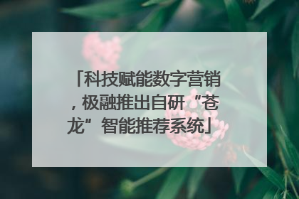 科技赋能数字营销，极融推出自研“苍龙”智能推荐系统
