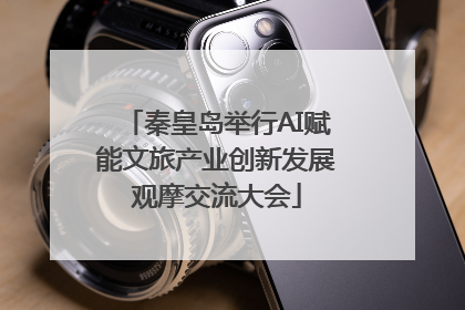 秦皇岛举行AI赋能文旅产业创新发展观摩交流大会