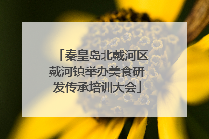秦皇岛北戴河区戴河镇举办美食研发传承培训大会