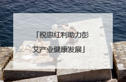 税惠红利助力彭艾产业健康发展