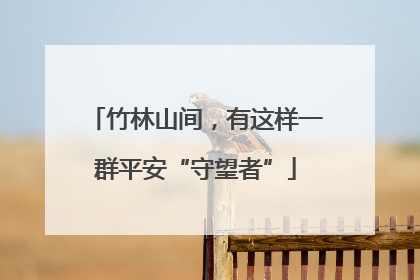 竹林山间，有这样一群平安“守望者”