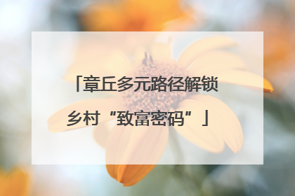 章丘多元路径解锁乡村“致富密码”