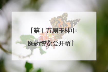 第十五届玉林中医药博览会开幕