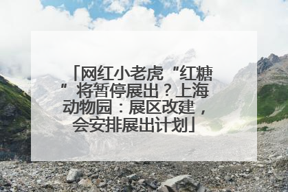 网红小老虎“红糖”将暂停展出？上海动物园：展区改建，会安排展出计划