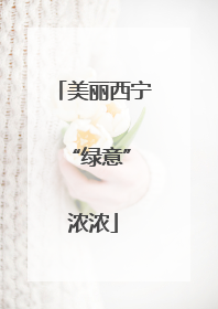 美丽西宁 “绿意”浓浓