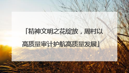 精神文明之花绽放，周村以高质量审计护航高质量发展