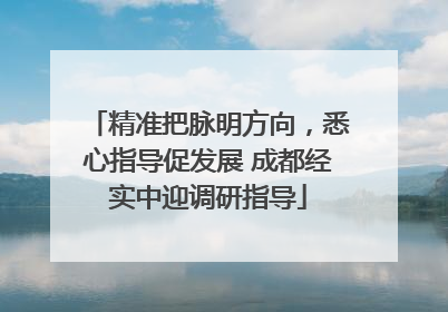 精准把脉明方向，悉心指导促发展 成都经实中迎调研指导
