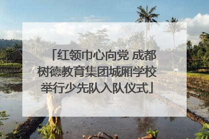 红领巾心向党 成都树德教育集团城厢学校举行少先队入队仪式