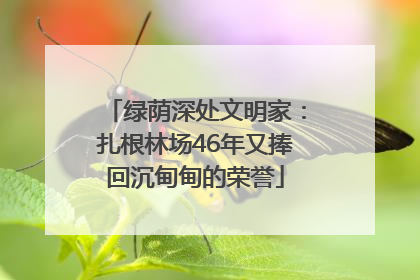 绿荫深处文明家：扎根林场46年又捧回沉甸甸的荣誉