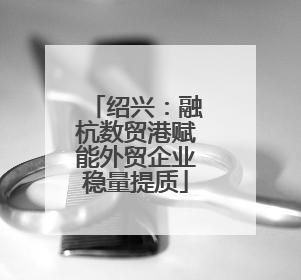 绍兴：融杭数贸港赋能外贸企业稳量提质