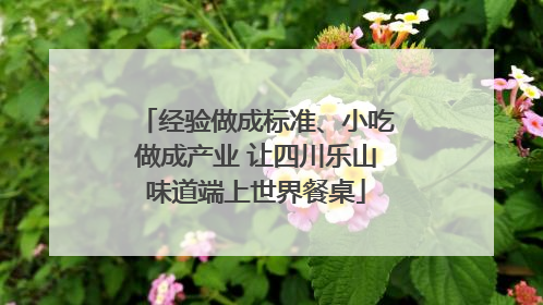 经验做成标准、小吃做成产业 让四川乐山味道端上世界餐桌