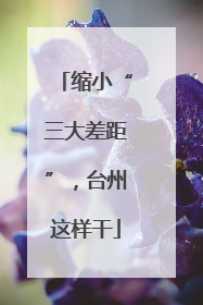 缩小“三大差距”，台州这样干