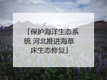 保护海洋生态系统 河北推进海草床生态修复