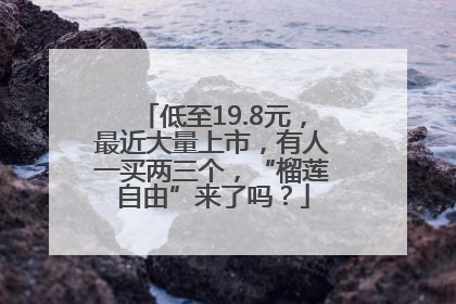 低至19.8元，最近大量上市，有人一买两三个，“榴莲自由”来了吗？