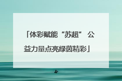 体彩赋能“苏超” 公益力量点亮绿茵精彩