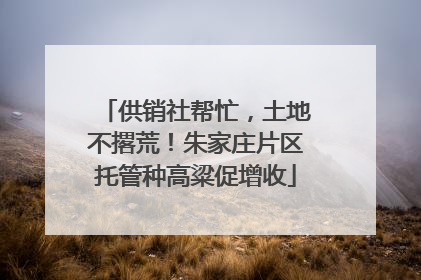 供销社帮忙，土地不撂荒！朱家庄片区托管种高粱促增收