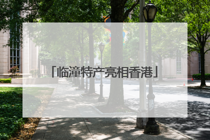 临潼特产亮相香港