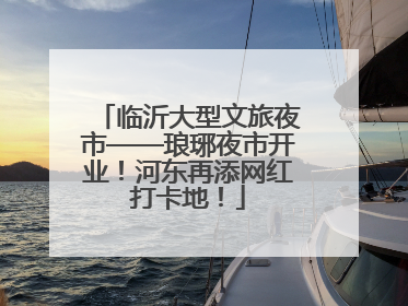 临沂大型文旅夜市——琅琊夜市开业！河东再添网红打卡地！